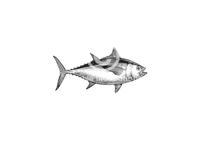 tuna art